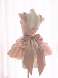Ball Gown Straps Sleeveless Short Pink Birthday Dresses Birthday Outfits SD465