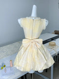 Evafashion Yellow A-Line V-Neck Lace Tulle Short Party Dress Birthday Dress HZ1024